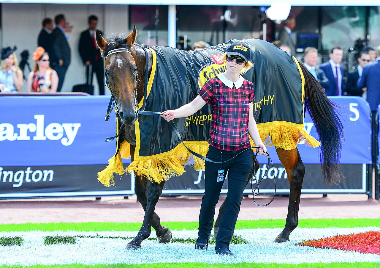 A brown racehorse in a black rug with yellow fringe is led across the lawn at Flemington by a woman in a red plaid shirt and cap. Behind them are a blue advertising barrier and spectators in suits, with a woman in an orange fascinator at left.